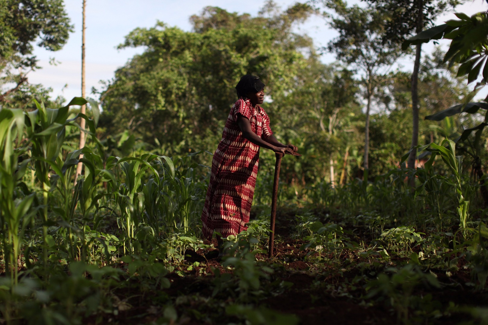 Digital Solutions for Smallholder Farmers: Dream Big, But Don’t Forget ...